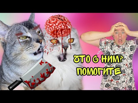 Школа сладуна. Школа Сладуна кот Кевин. Школа Сладуна ляпота. Школа Сладуна страшилки. Ляпота ТВ страшилки.