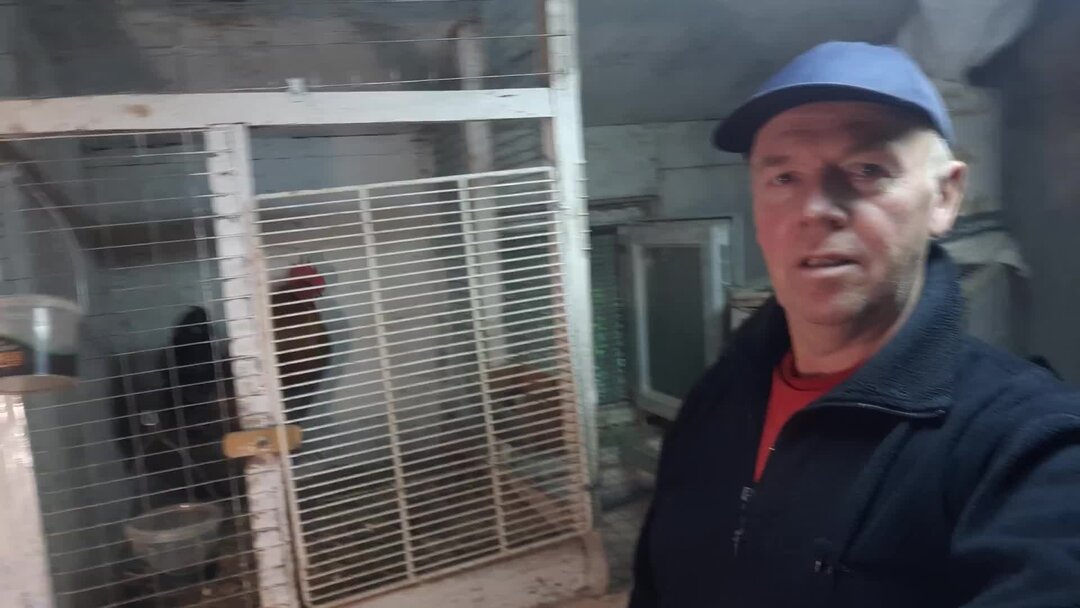 фермы владимира