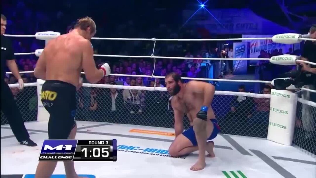 Лоу КИК техника удара