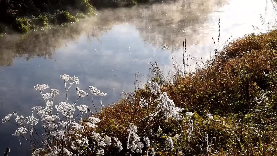 Низинах расстилается туман. Туман река футаж. Золотая река детства. Над речкой туман футаж.