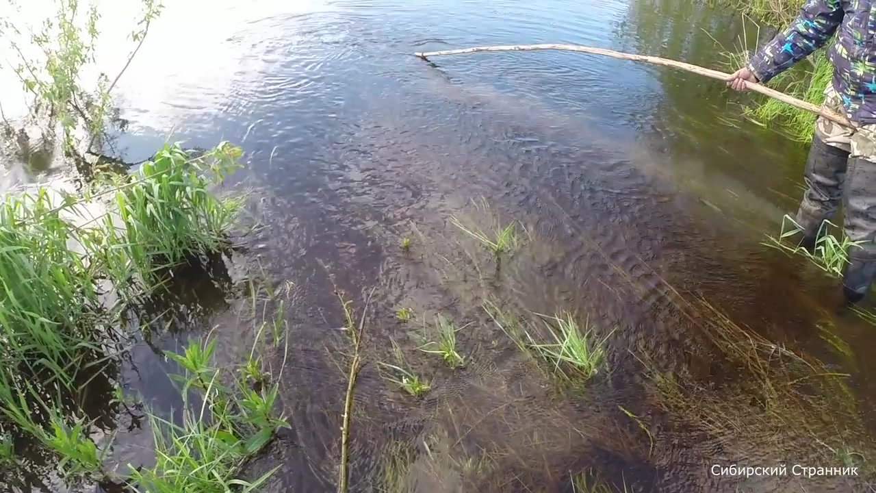 Сибирский странник видео