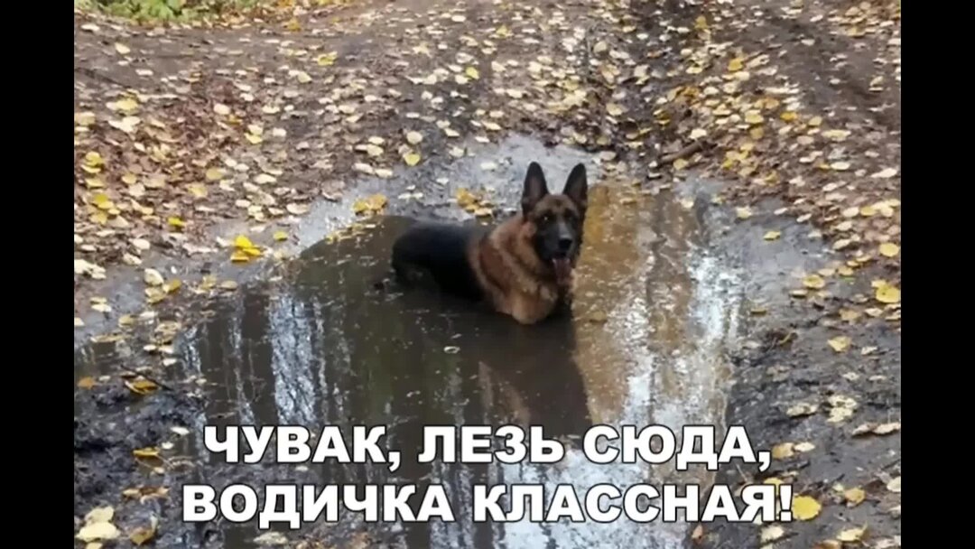 Прикол жара невыносимая. Не пролез. Жара фотоприколы. Невротик рисунок. Не нажимай сюда.