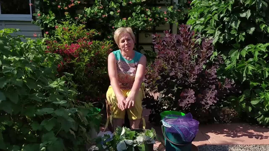 сад гид лариса зарубина. сад гид лариса зарубина. садовый гид с ларисой зарубиной. игнатова галина викторовна. сад гид лариса зарубина.