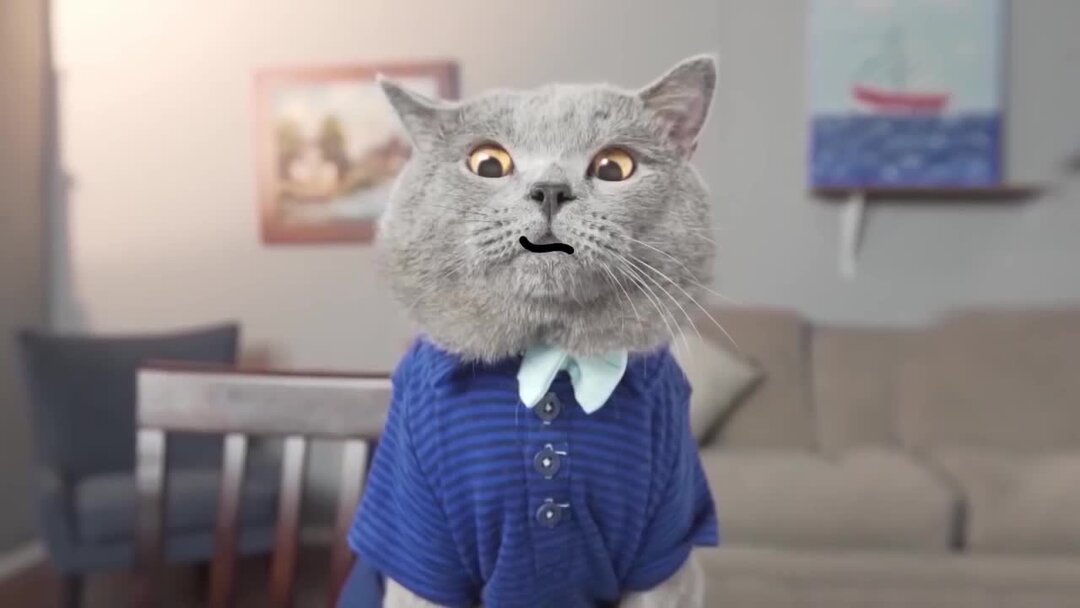 Смешные ролики с животными с озвучкой. Приколы с котами с озвучкой до слёз. Смешные котики 2022 и другие животные. Смешные видео с озвучкой на русском. Приколы с котами до слёз.