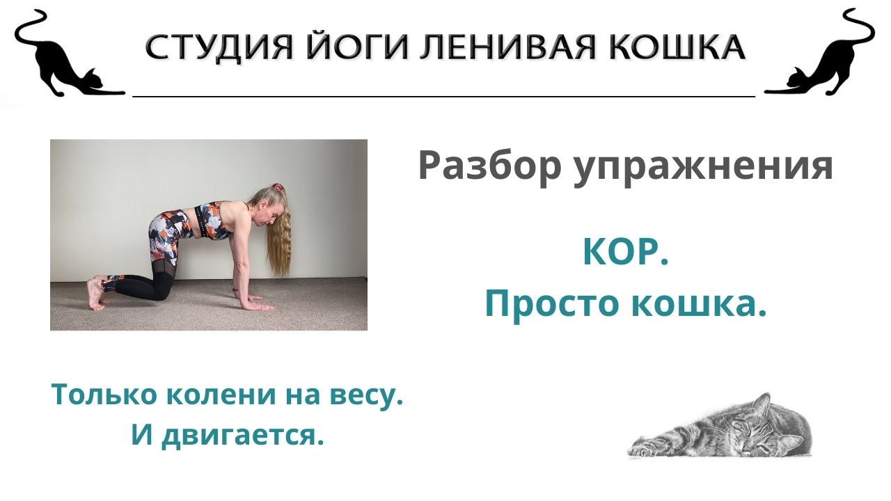 Разобрать упражнения. Упражнение ленивая кошка. Йога для ленивых. К чему относятся упражнения кор тренировка. Самые сложные упражнения на кор
