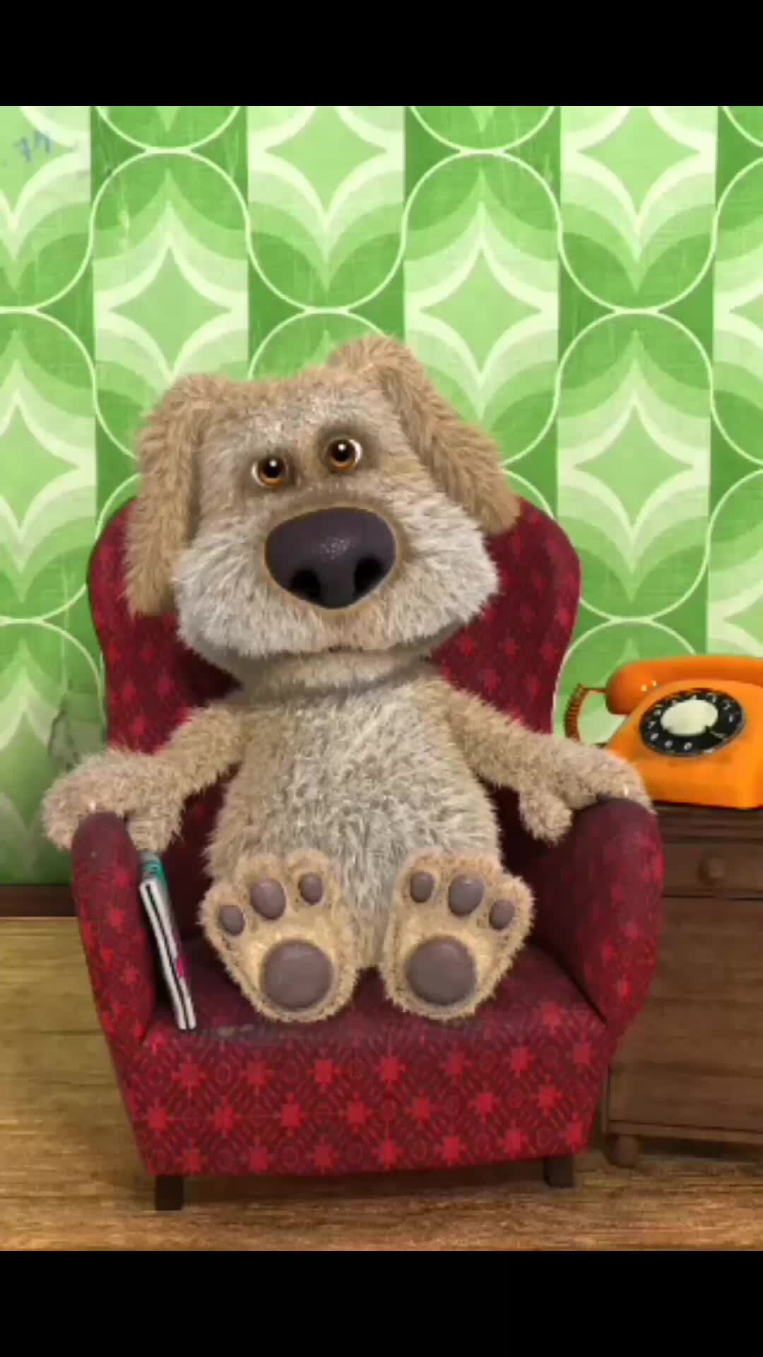 говорящего бена собаку. бен собака. талкинг бен пес. говорящего бена собаку. талкинг бен пес.