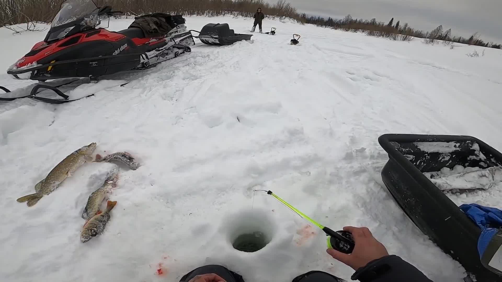 Титановый для льда рыбалка. Зимняя рыбалка 2022-2023. Рыбалка. Это не диалоги о рыбалке. Не диалоги о рыбалке 2024 последнее видео.