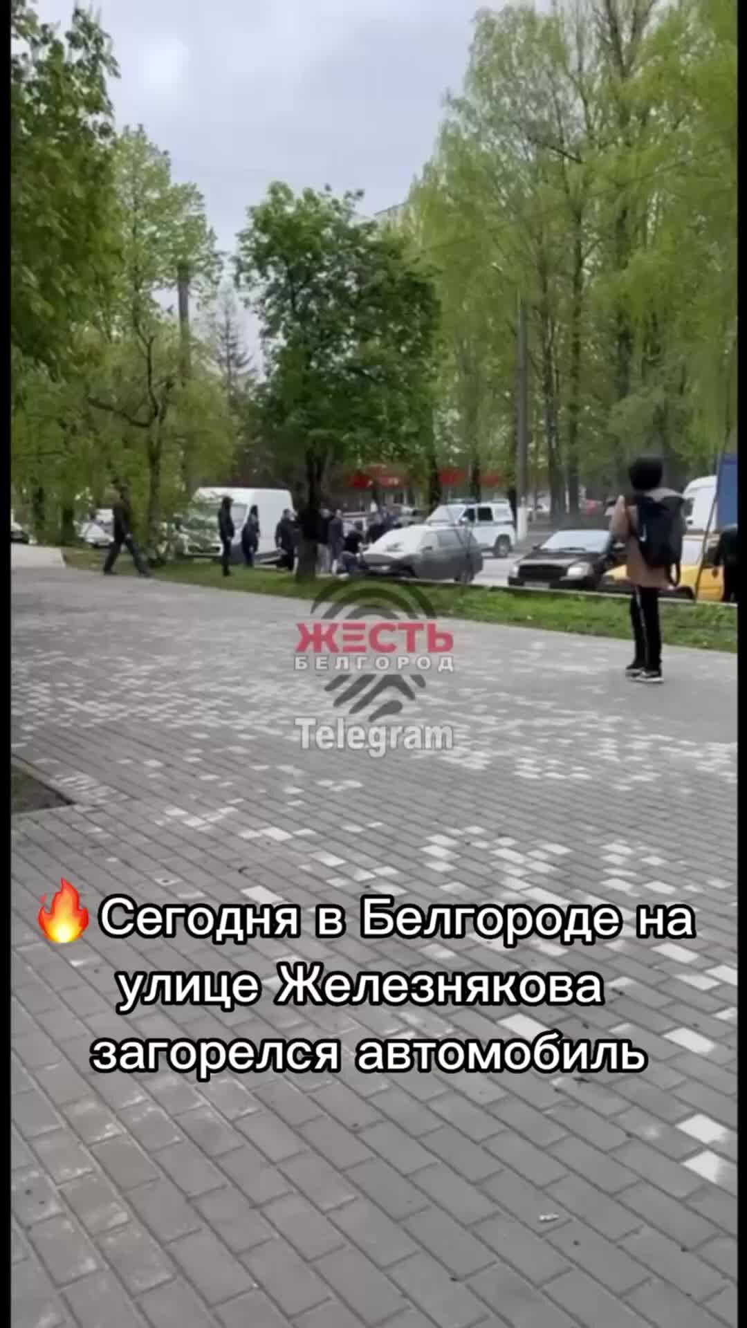 Жесть белгорода подписаться