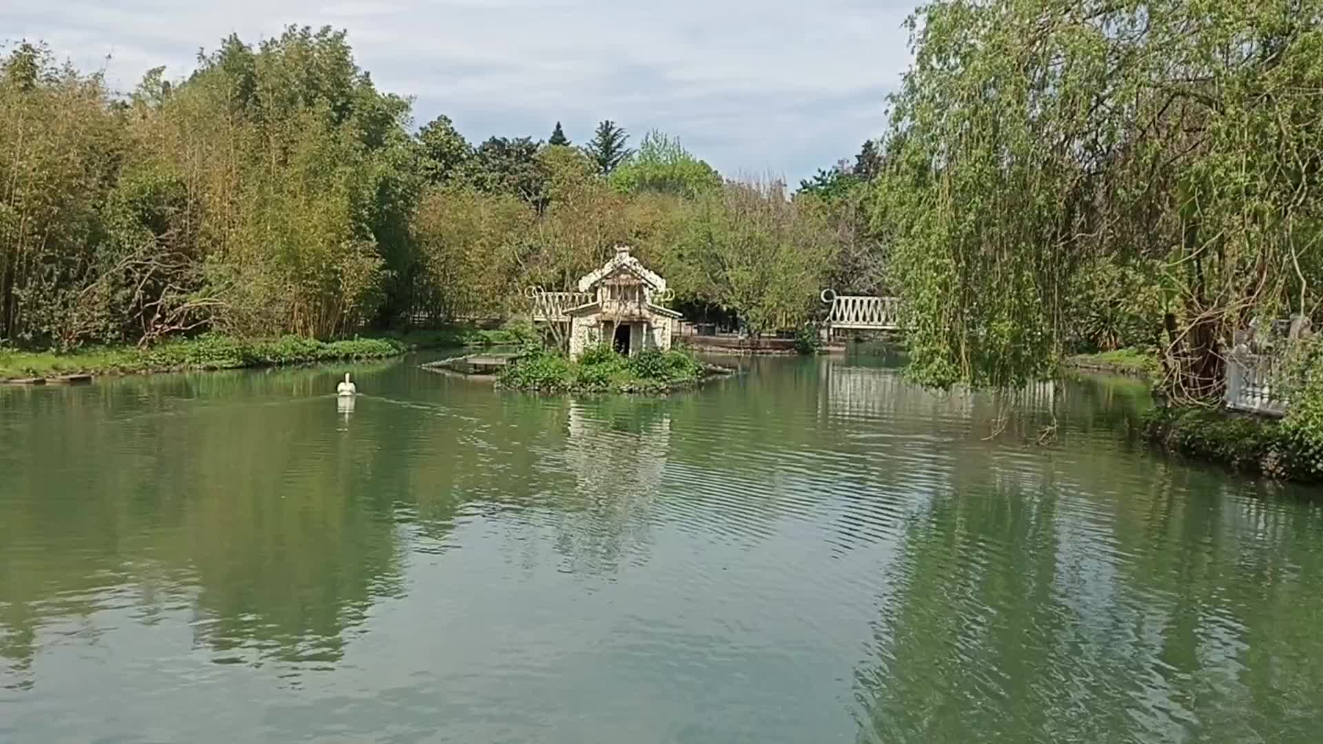 дендрологический парк адлер южные культуры