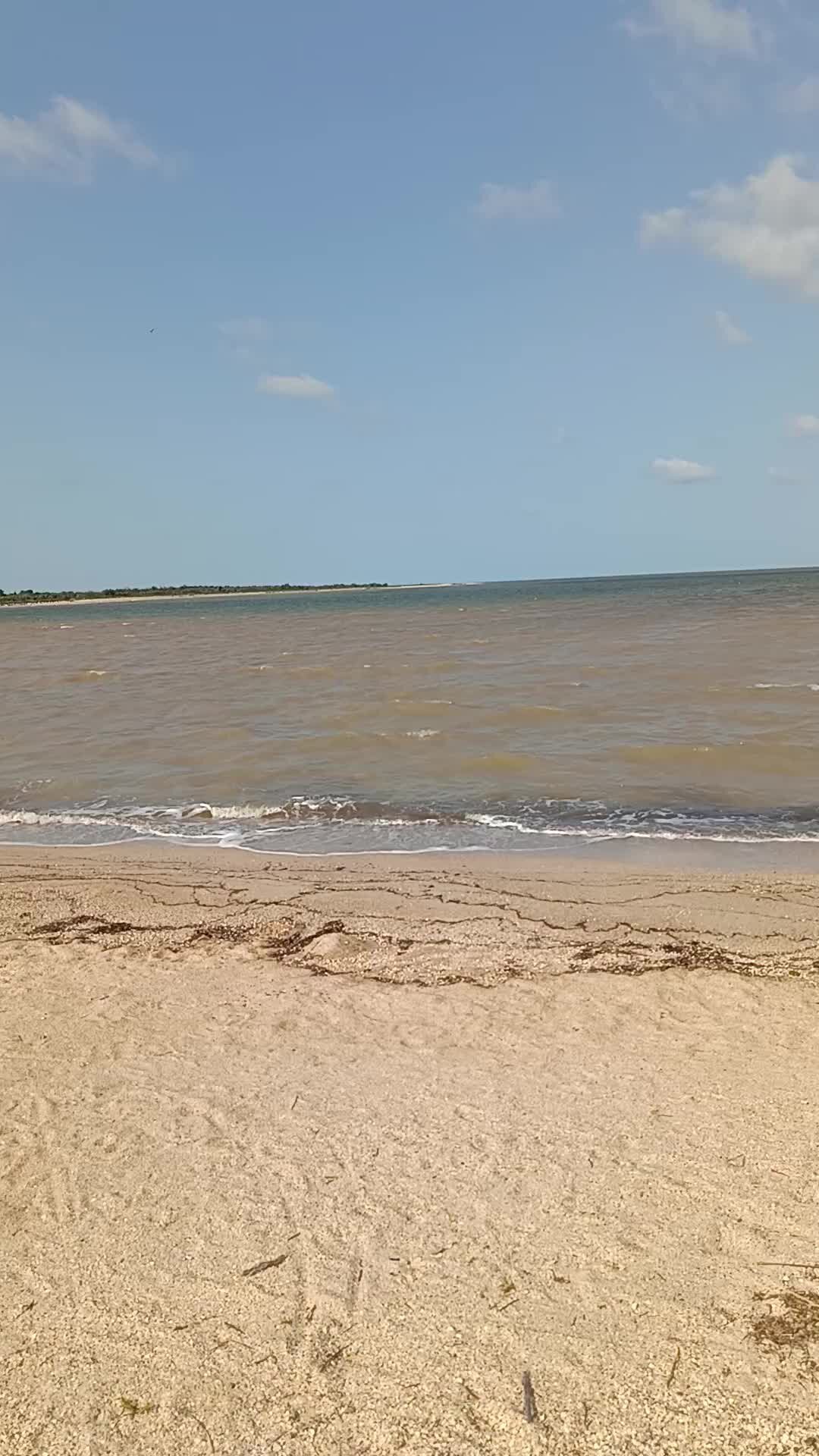 Ясенская пляжи. Ясенская переправа азовское море. Ясенская станица краснодарский край. Ясенская пляжи. Ясенская пляжи.
