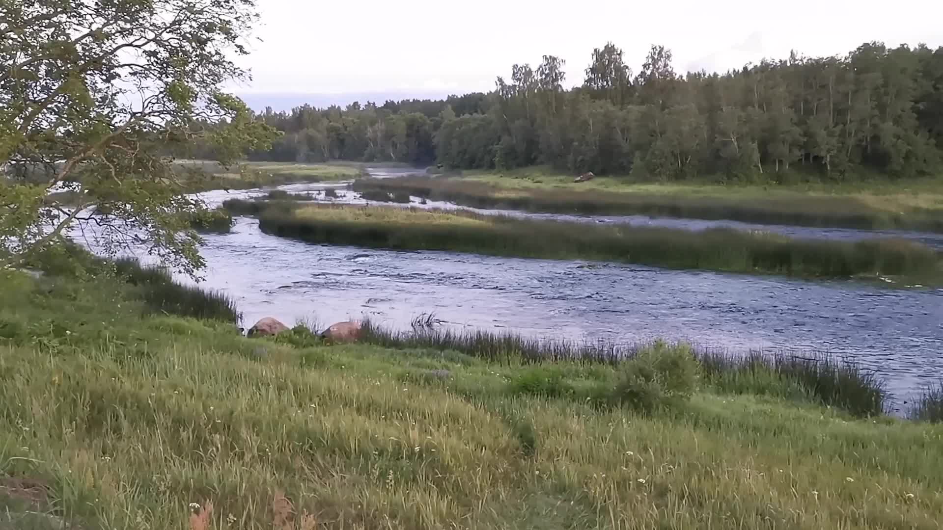 река луга ленинградская область