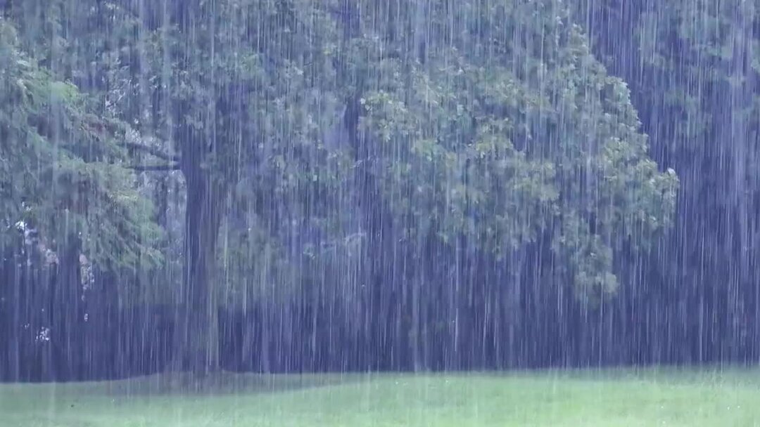 Слушать звук природы дождь. Дождь в лесу. Расслабляющий дождь. Distant Thunder and Rain. KNTEC Pure Rain.