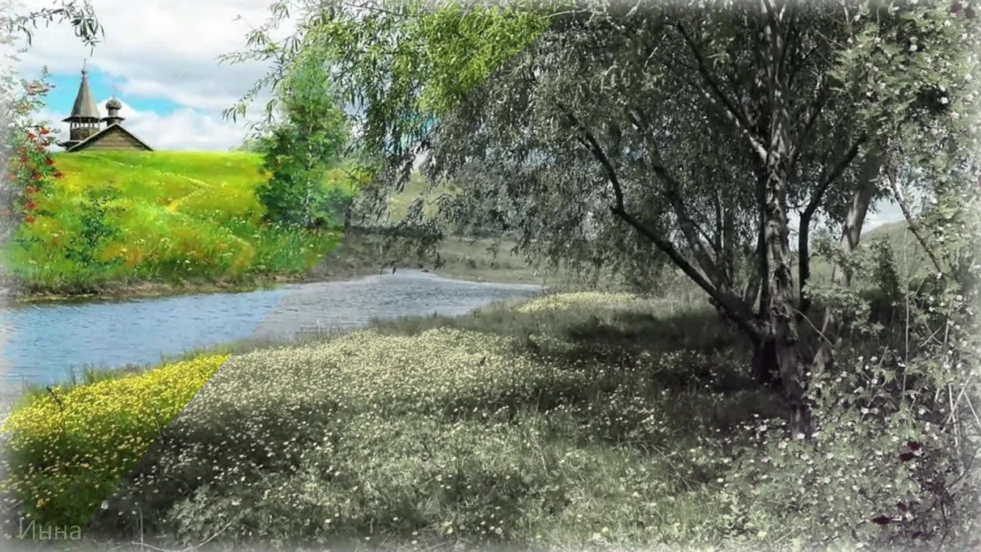 есенинская русь береза. пейзаж родного края. пейзаж нашей родины. разбросала косы русые береза текст. родина природа.