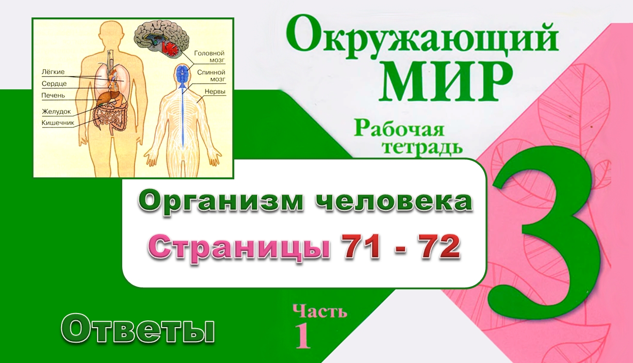 Тех карта организм человека 3 класс