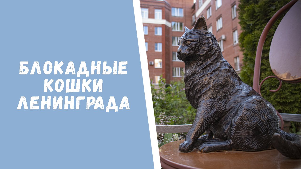 коты памятники санкт петербурга