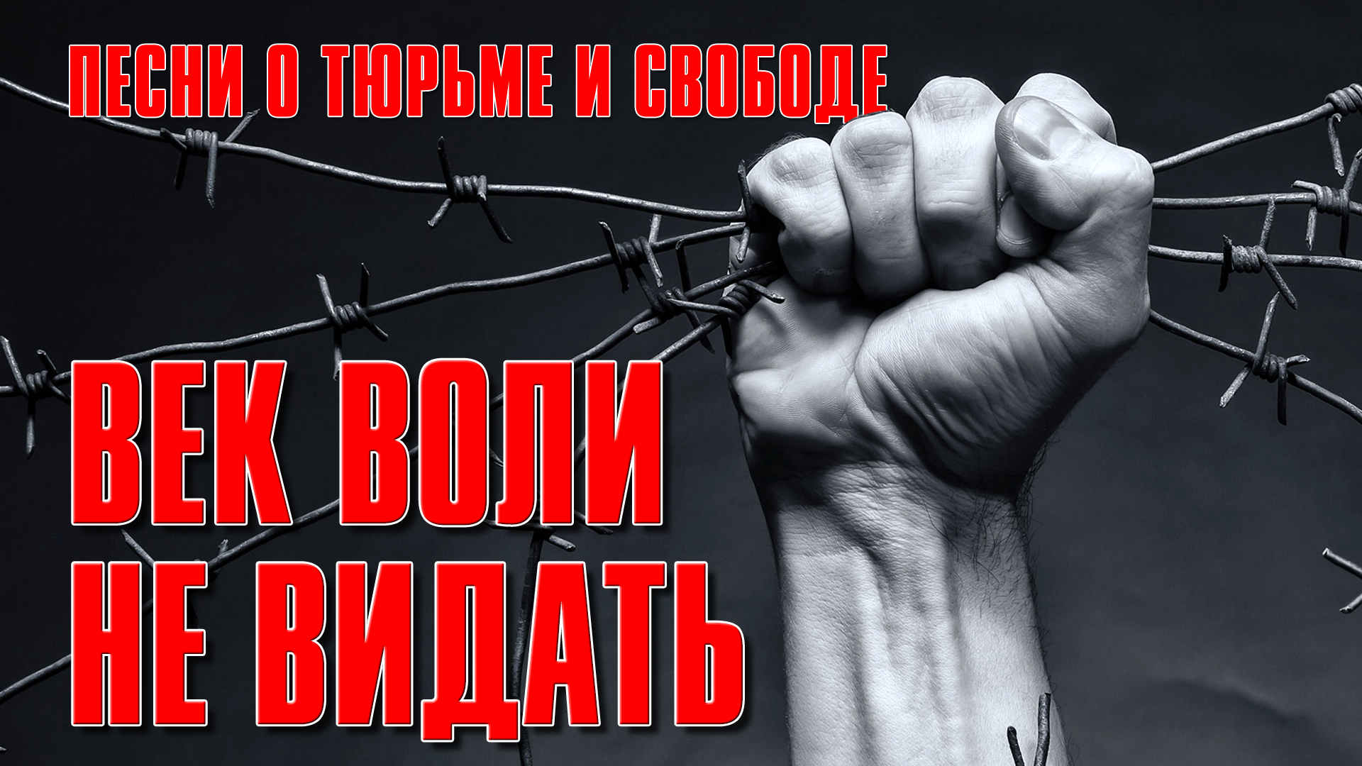 Век воли не видать. Сборник песен воли и тюрьмы. Сëва лир песни воли и тюрьмы.