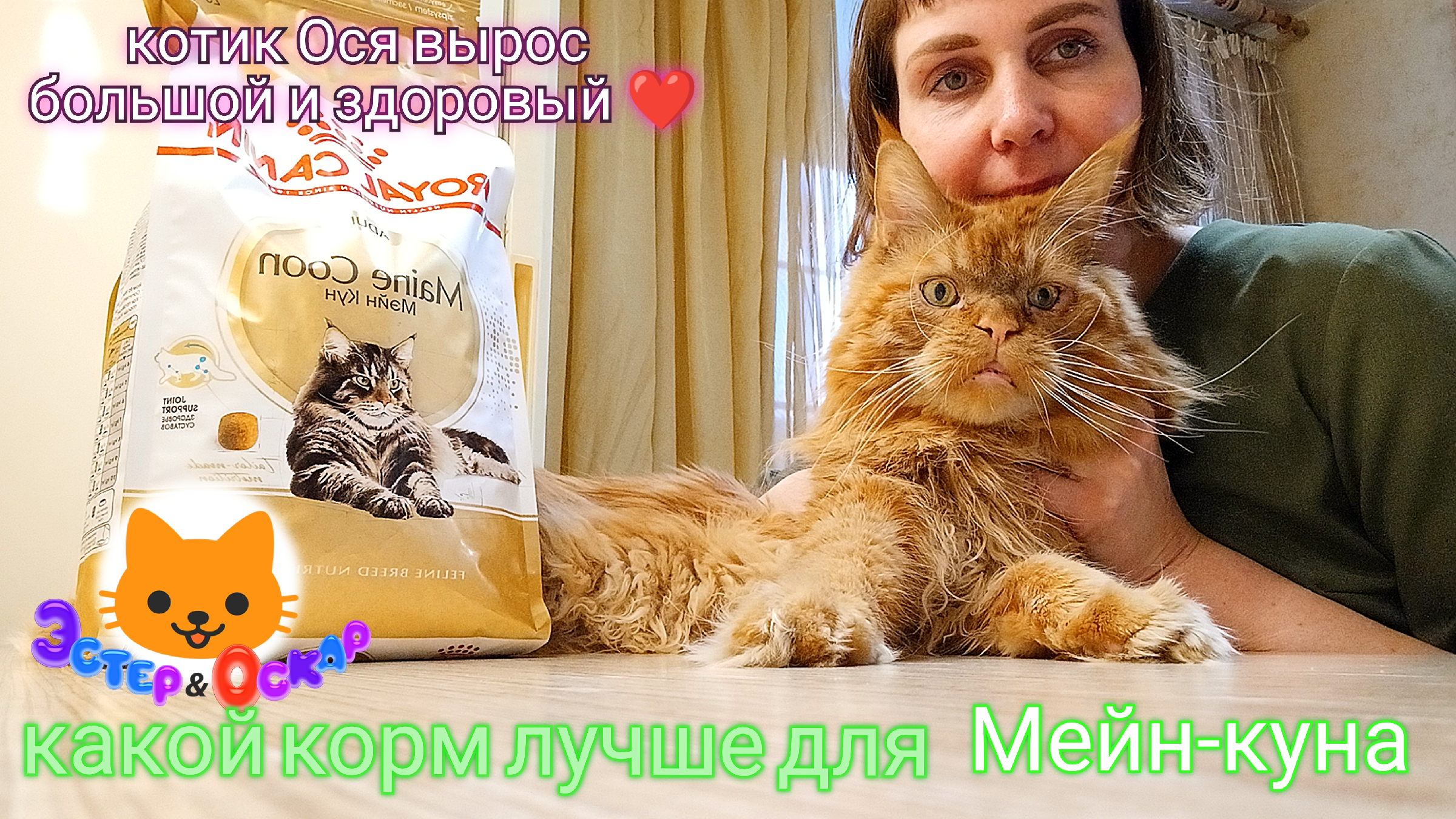 Мейн кун и актер