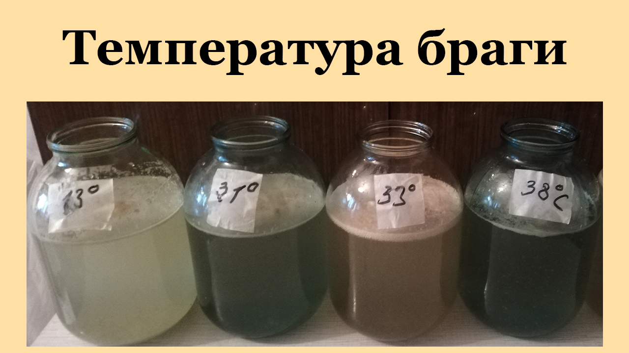закваска из винограда. рецепт сахарной браги. цвет браги. фруктовая брага. брага.