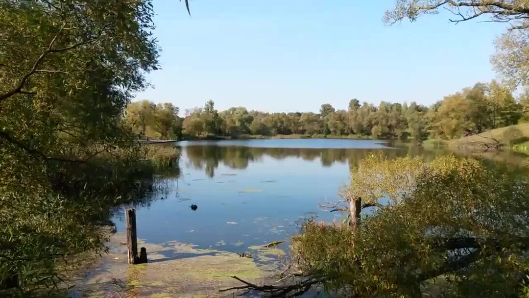 Поселок стрелецкий орловская область