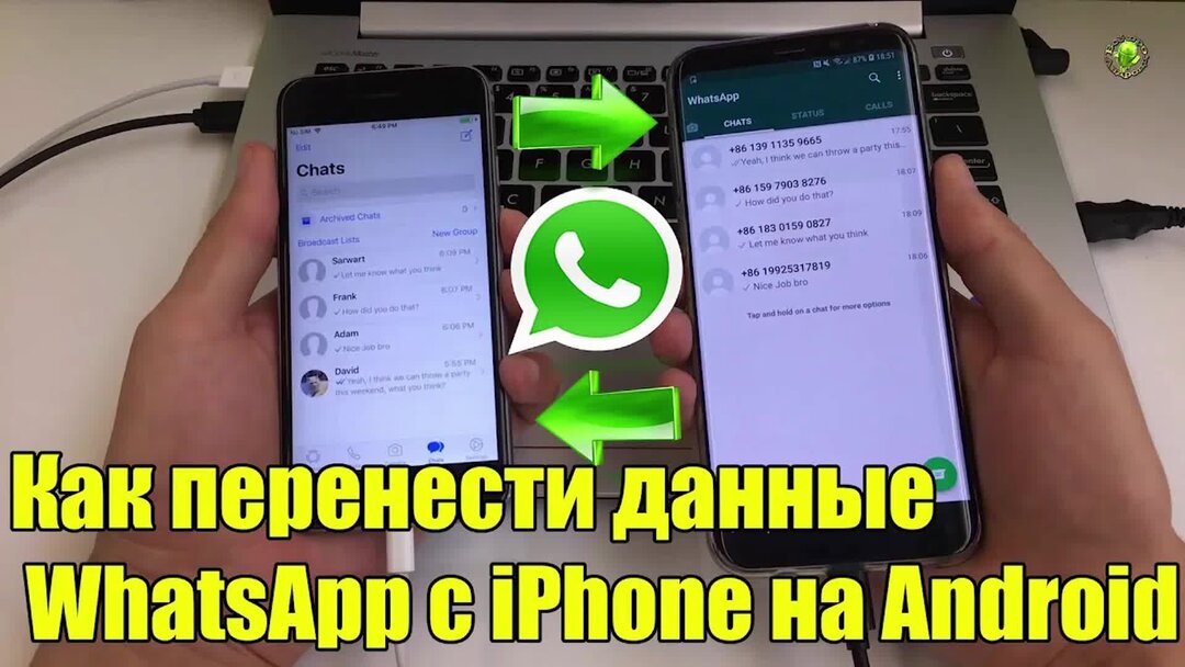 Перенос ватсапа с айфона на андроид. Перенос ватсап с андроида на айфон. Перенос данных WHATSAPP. Как перенести ватсап с андроида. Перенос данных WHATSAPP С Android на iphone