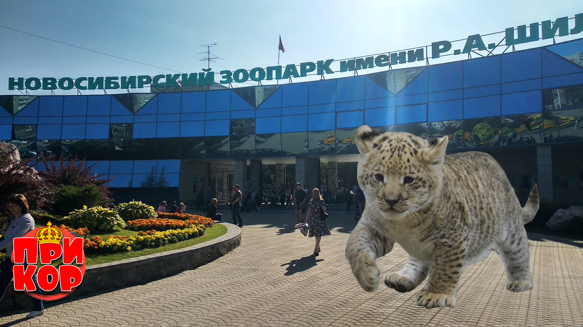 новосибирский зоопарк новосибирск