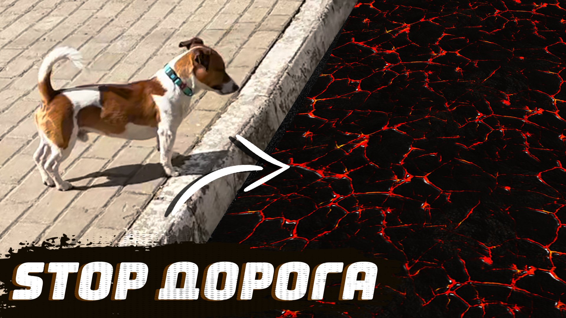 Честер собака