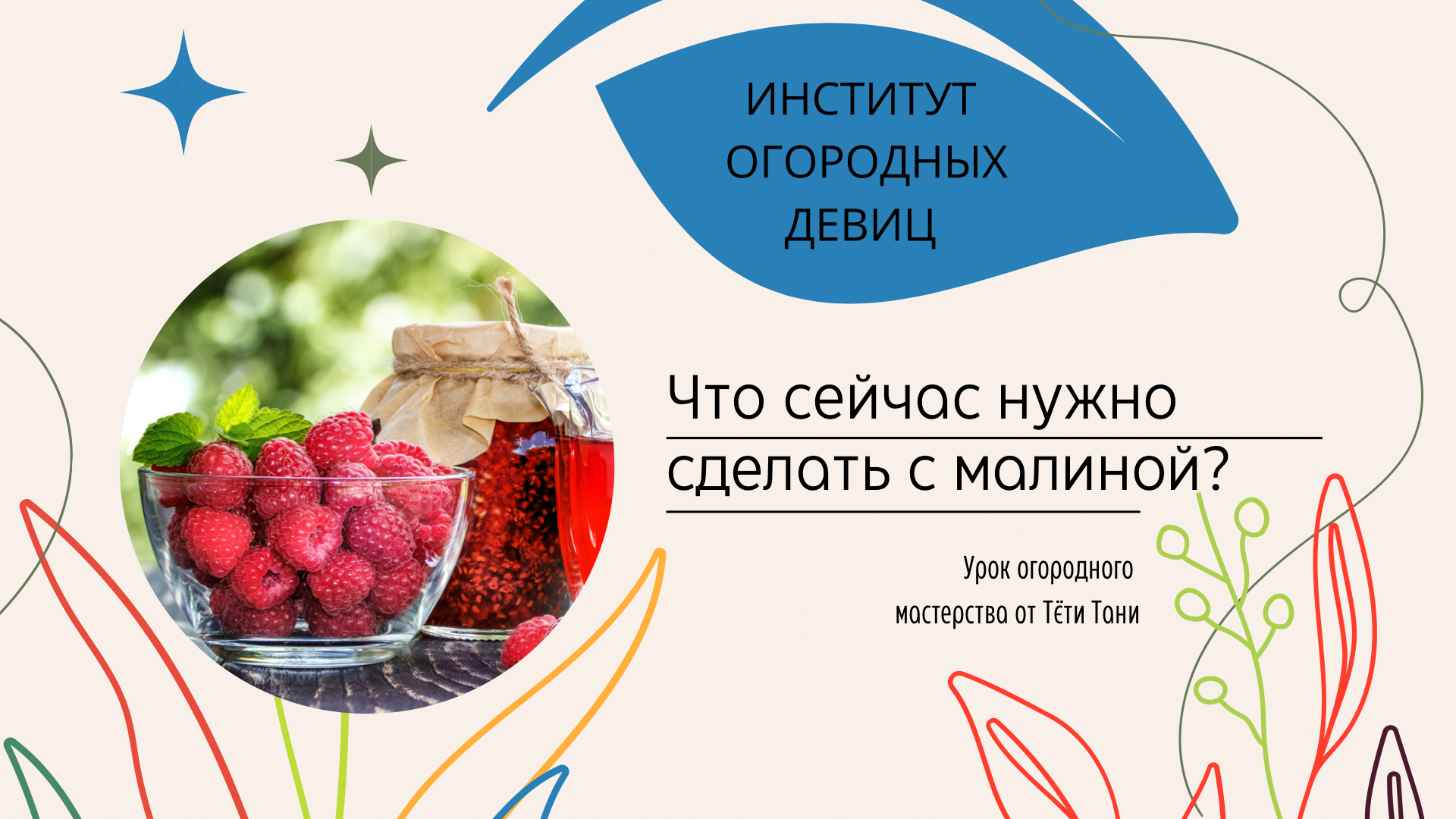 институт огородных тетя таня дзен. институт огородных тетя таня дзен. институт огородных тетя таня дзен. институт огородных тетя таня дзен. дайкон схема посадки.