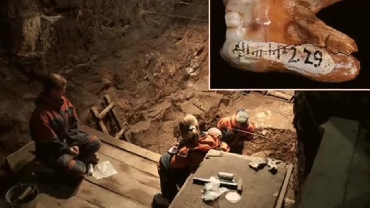 Необъяснимые артефакты древних цивилизаций. Кладбище динозавров в кундуре амурской области. Останки древнего человека денисова пещера алтайский край. Назад было найдено только. Райан колодец.