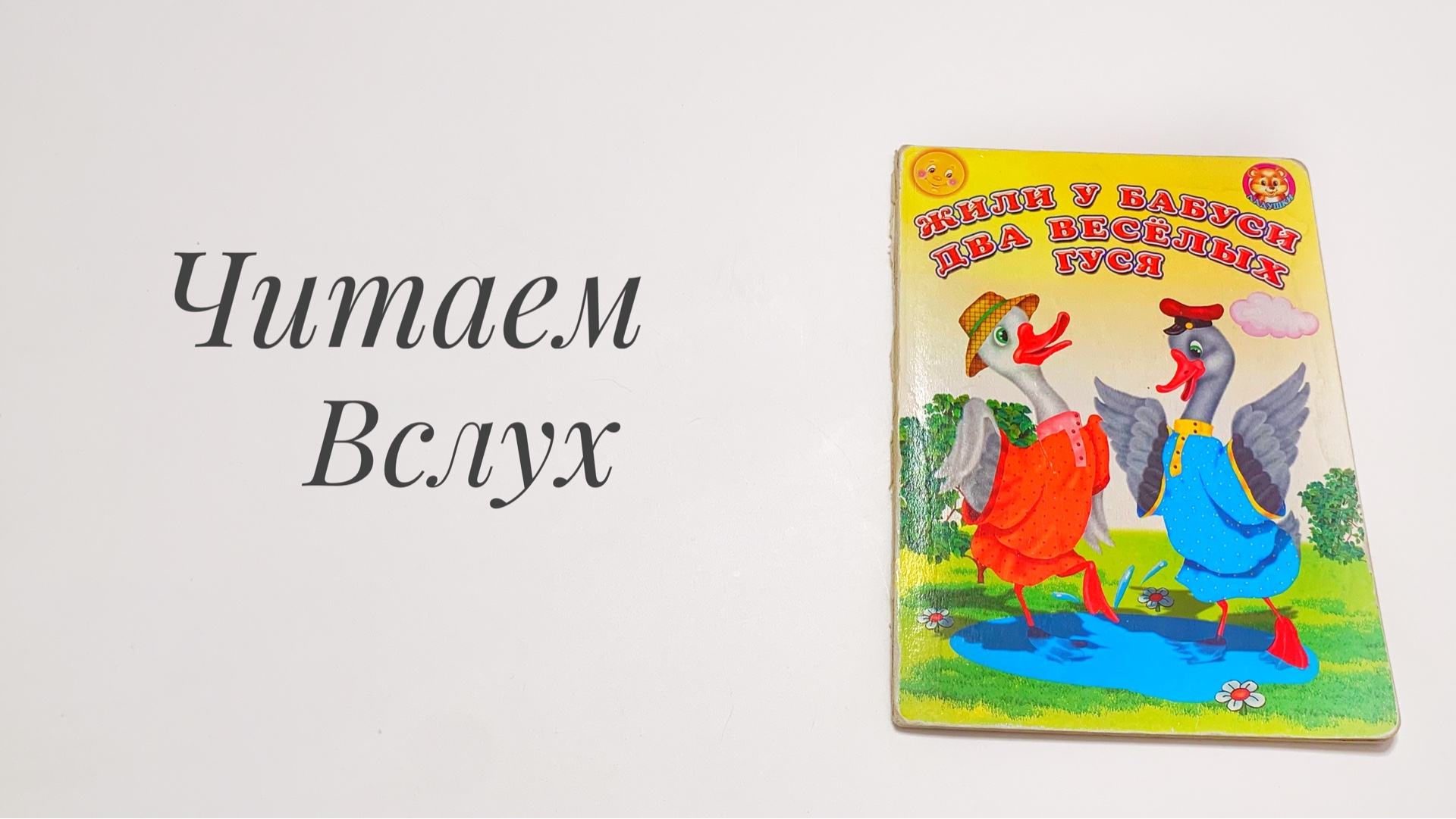 Два веселых гуся песня. Стишок жили у бабуси 2 веселых гуся. Книжка два весёлых гуся читать. Фотокнижка жили у бабуси. Жили у бабуси читать.