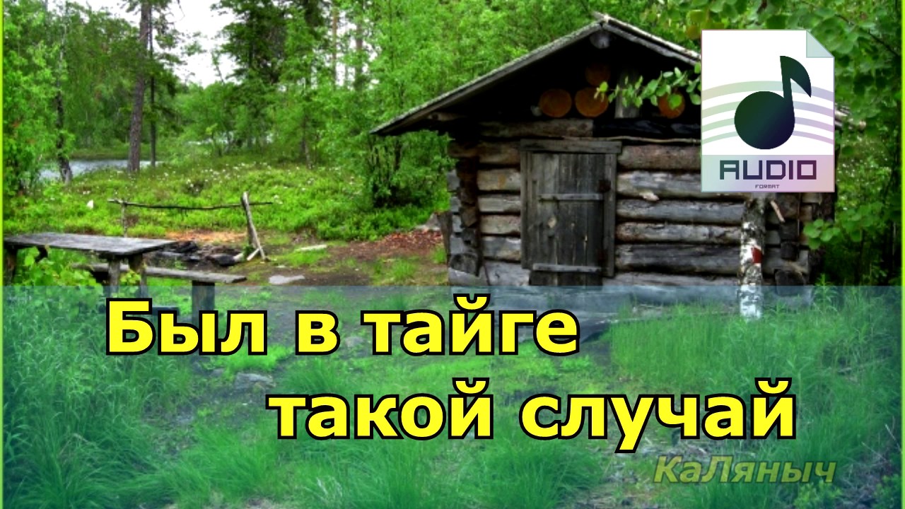 Аудио рассказы про тайгу. Аудиокнига КАЛЯНЫЧ. Случай в тайге. КАЛЯНЫЧ рассказы про тайгу. Аудиокниги случай в тайге.