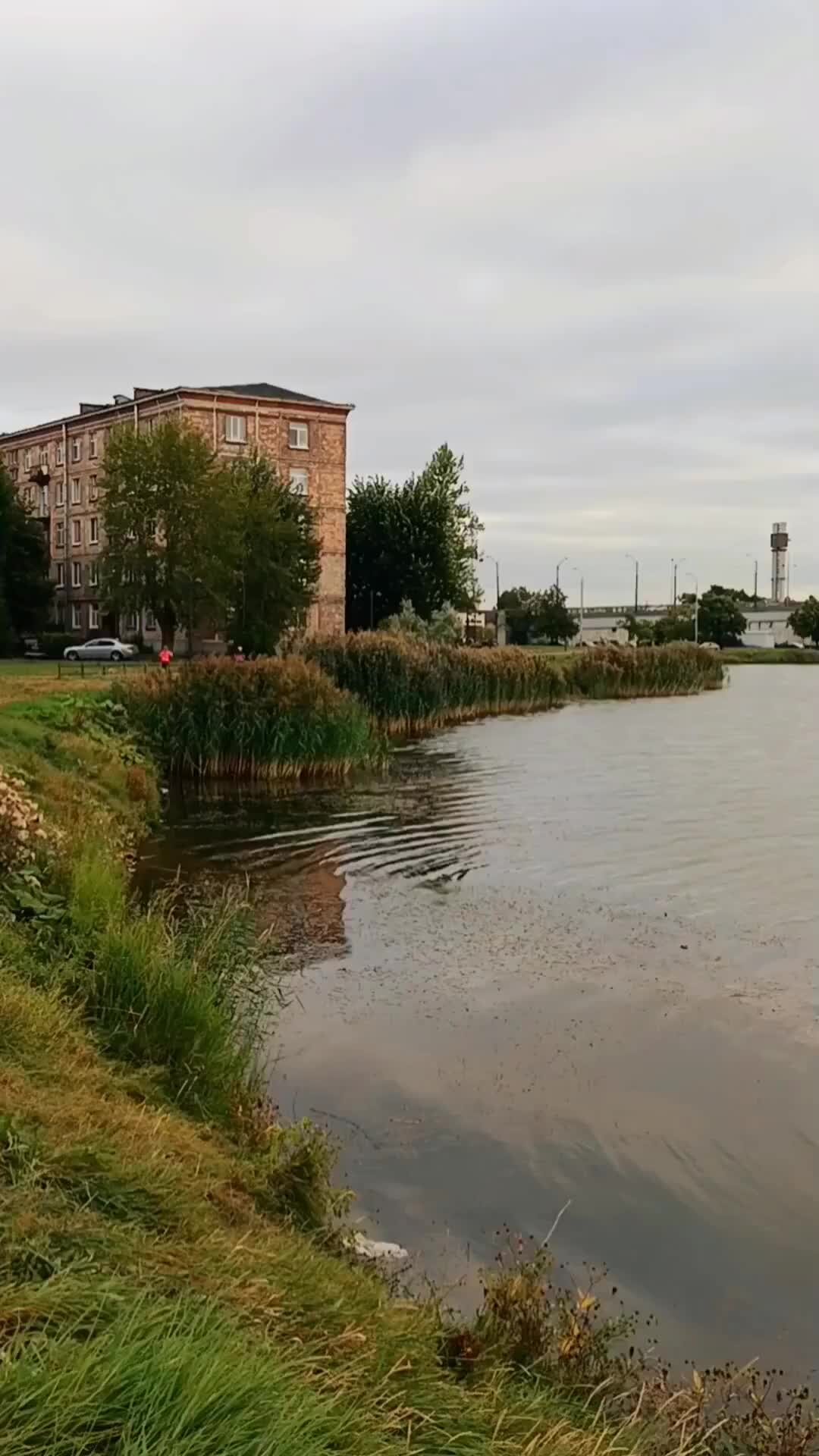 Ивановский карьер спб