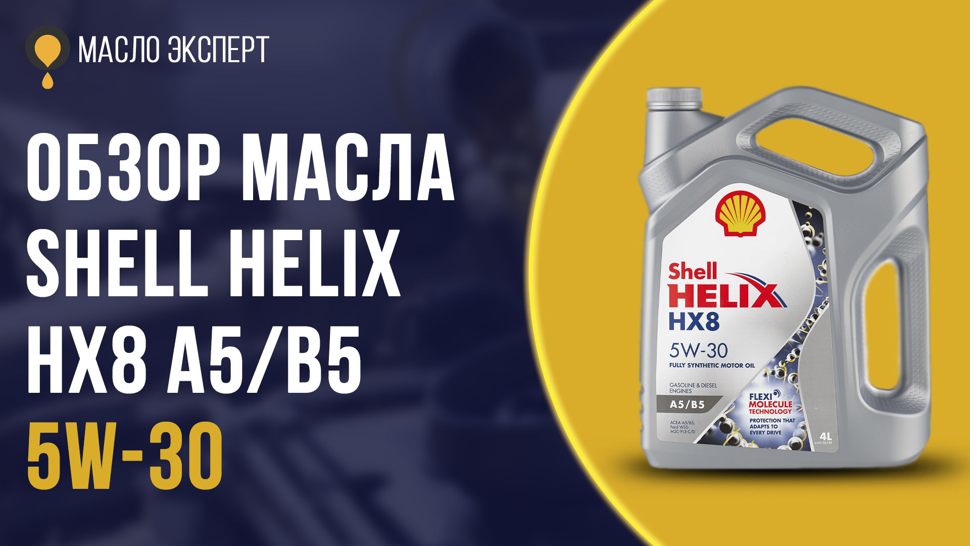 Shell подбор масла. Polo Expert Oil.