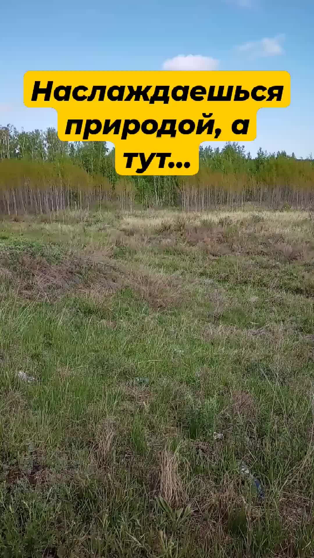 Дом в Лесу | Зачем засорять природу | Дзен