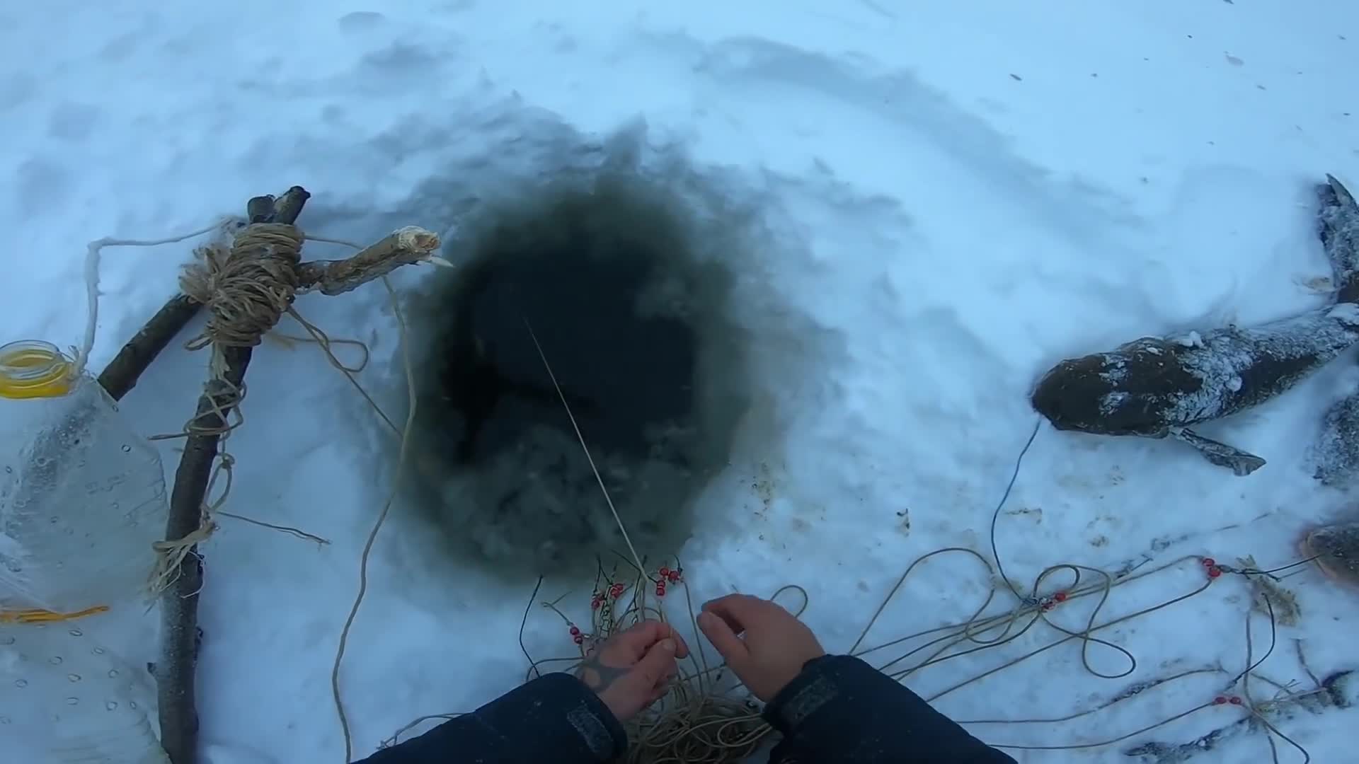 Не диалоги о рыбалке последние 2022 года видео ютуб. Перемет рыболовный. Диалоги о рыбалке 2022. Налим енисей. Не диалоги о рыбалке 2024 последнее видео.