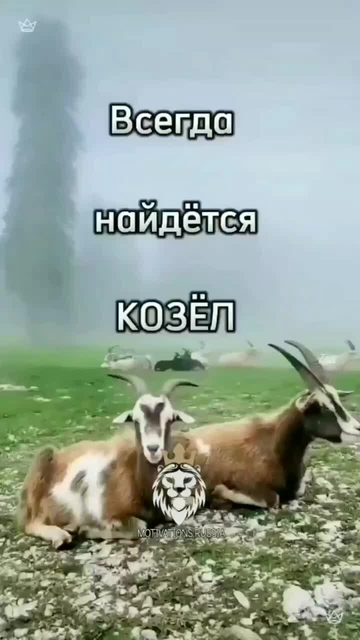 Новогодние заметки от Юлии Игнатьевой: 