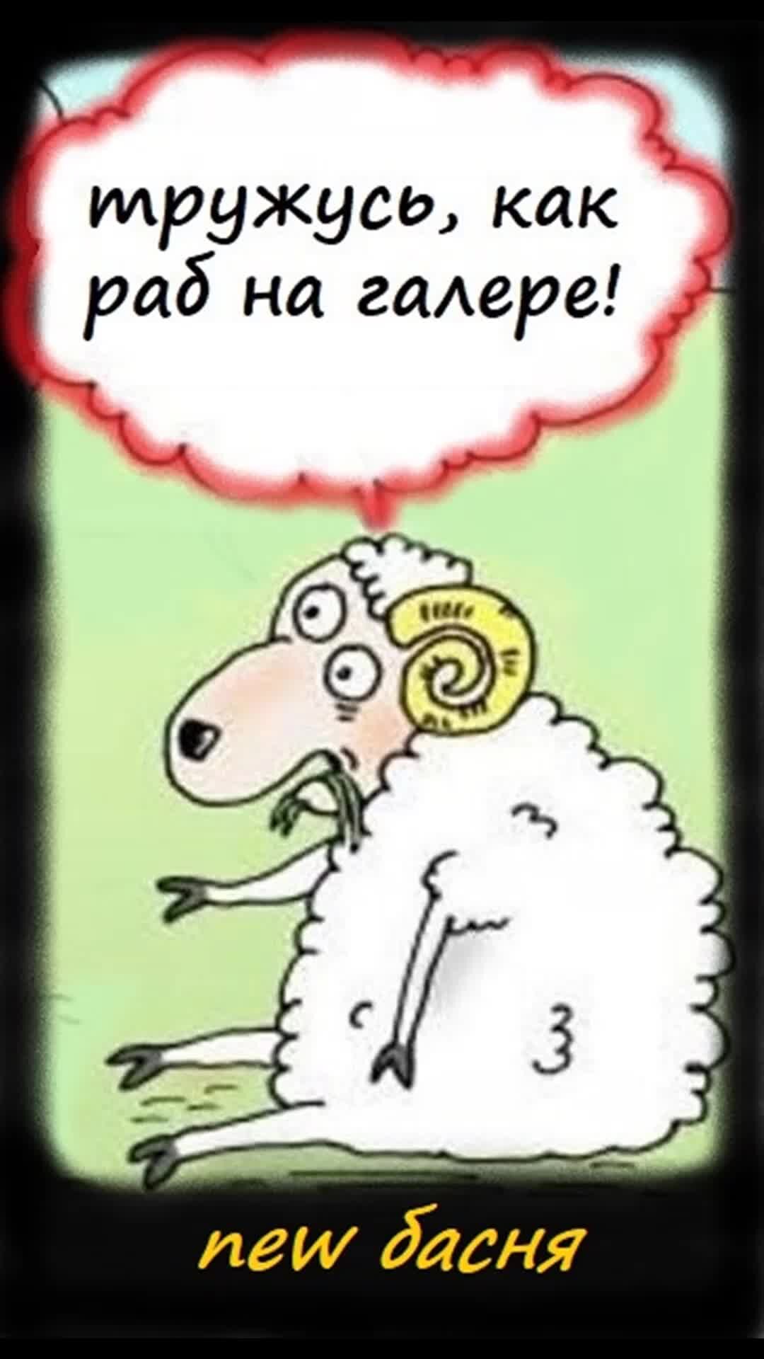 Баран и новые ворота