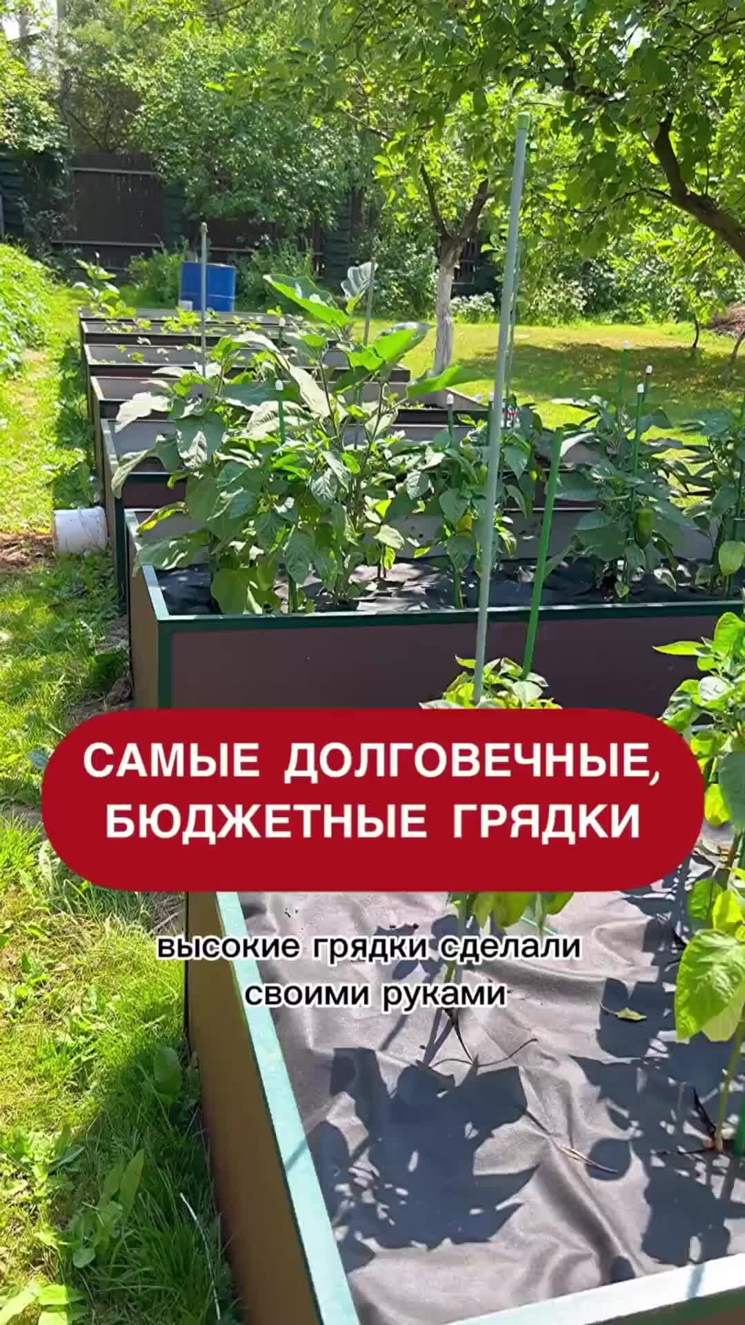 Полное руководство по созданию приподнятой грядки: от выбора конструкции до посадки растений