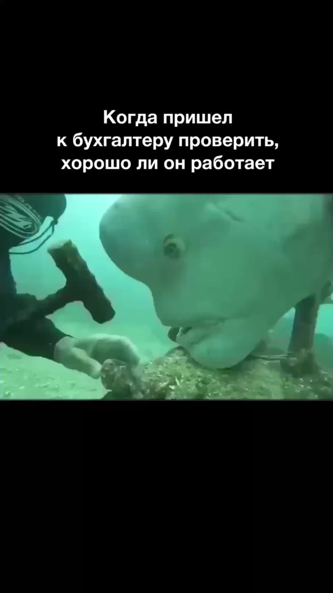 Ничем необъяснимой. Ничем необъяснимой