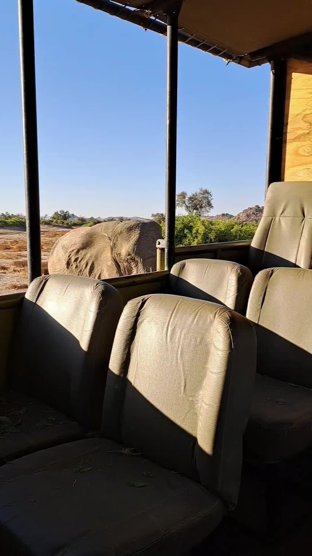 New_AnnaAmoordon_53 | у меня зазвонил телефон... кто говорит? слон! | Дзен