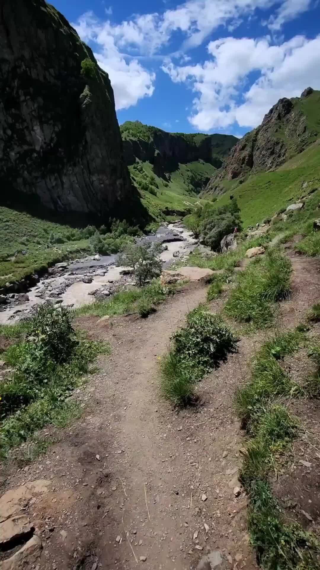 Мхи в горах КБР