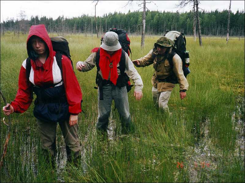 Люди на болоте на русском. Поход по болотам. Через болото. Люди ходят по болоту. Одежда для болота.