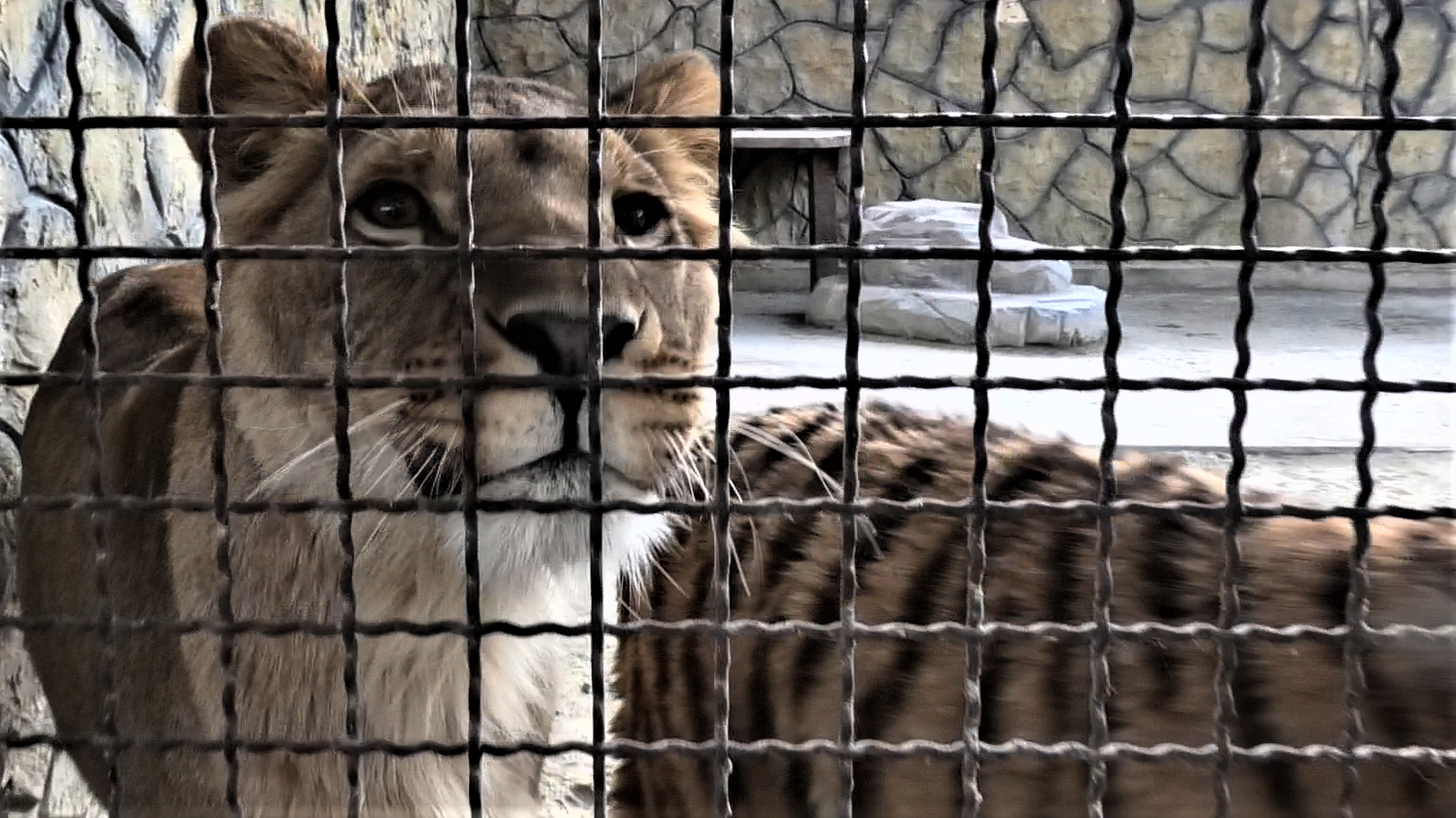 Одним меньше фильм 2013. Кадр сб. Кристиан бейл 2006. Случайный кадр сериал. Семь дэвид финчер.