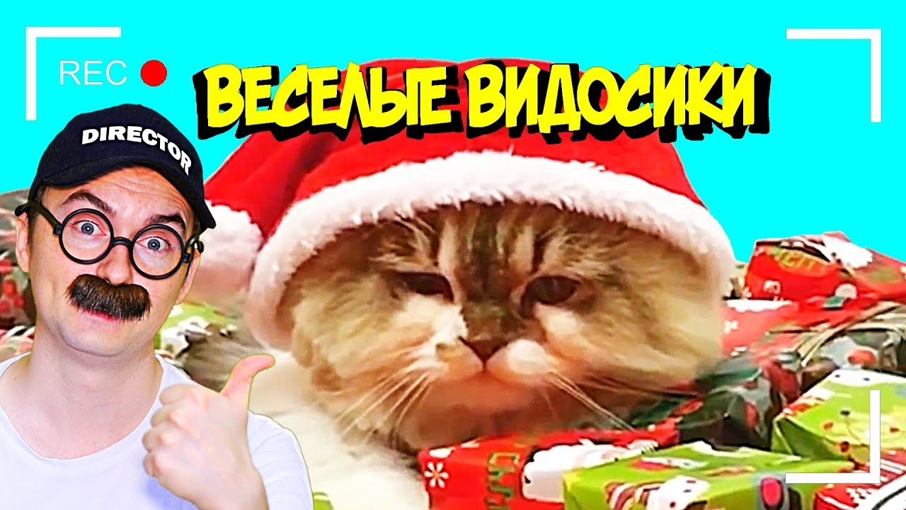 видео веселые видосики. видео веселые видосики. попробуй не засмеяться челлендж. видео веселые видосики. самые угарные видосы в мире.