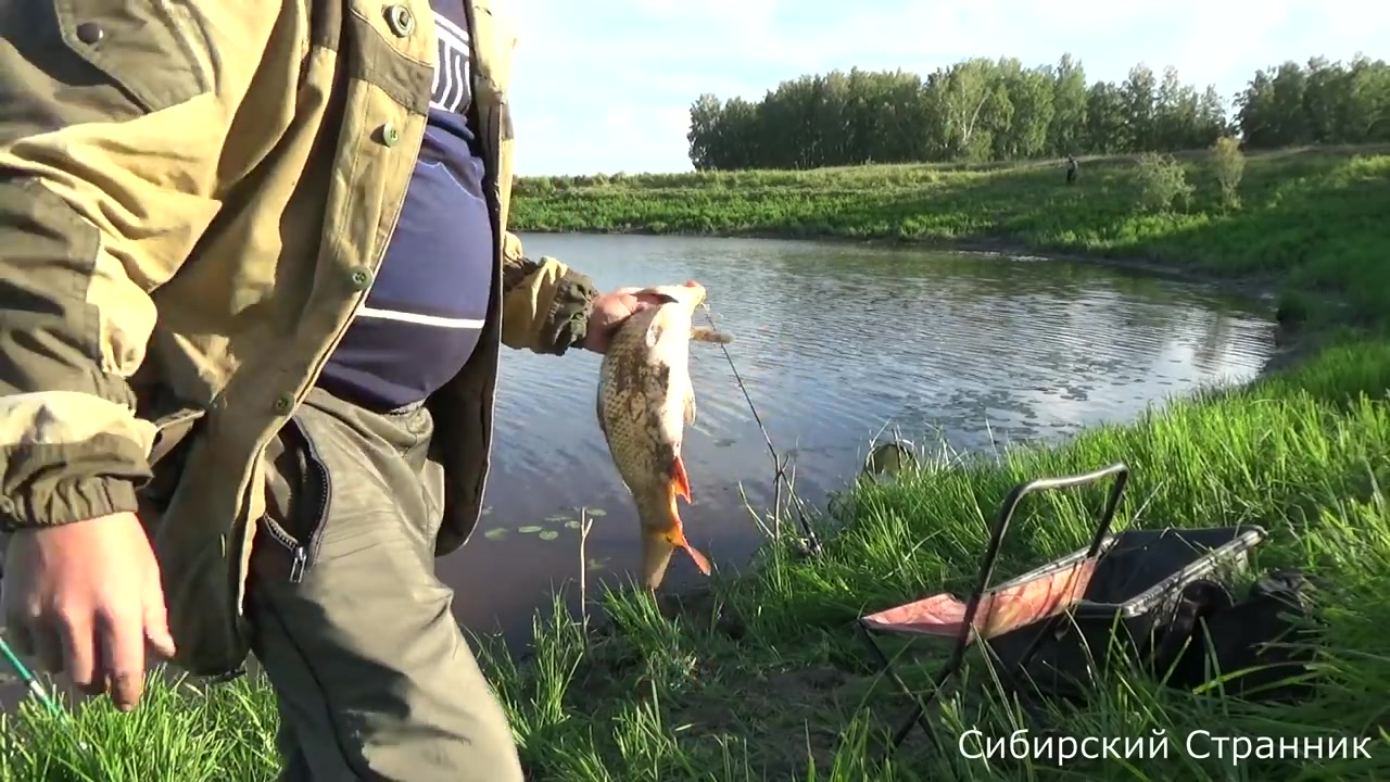 Сибирский странник видео