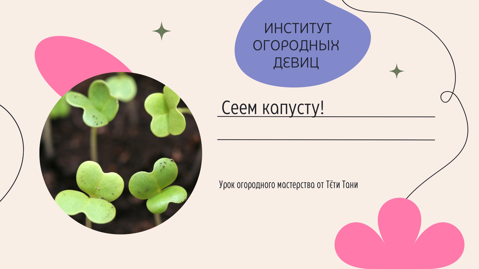 Дзен институт огородных девиц с тетей таней. Институт огородных тетя таня. Картофель элита и суперэлита в чем разница. Институт огородных девиц. Канал институт огородных девиц.