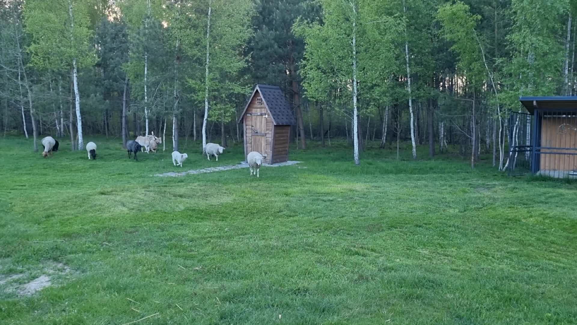 Черничный Хутор. Черничный Хутор фото. Черничный Хутор последнее.