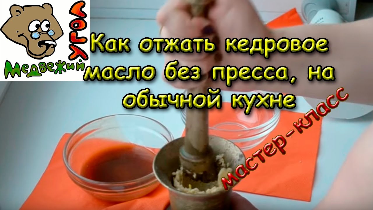 Отжать. Как отжать кедровое масло без пресса, на обычной кухне.