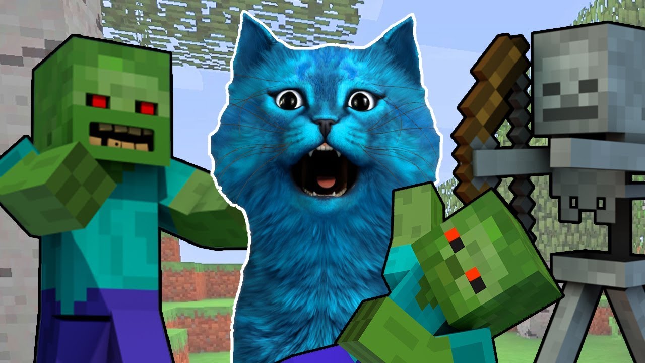 Включи minecraft cat. Кот в МАЙНКРАФТЕ. Кошка в МАЙНКРАФТЕ. Кот май. Котенок из МАЙНКРАФТА.