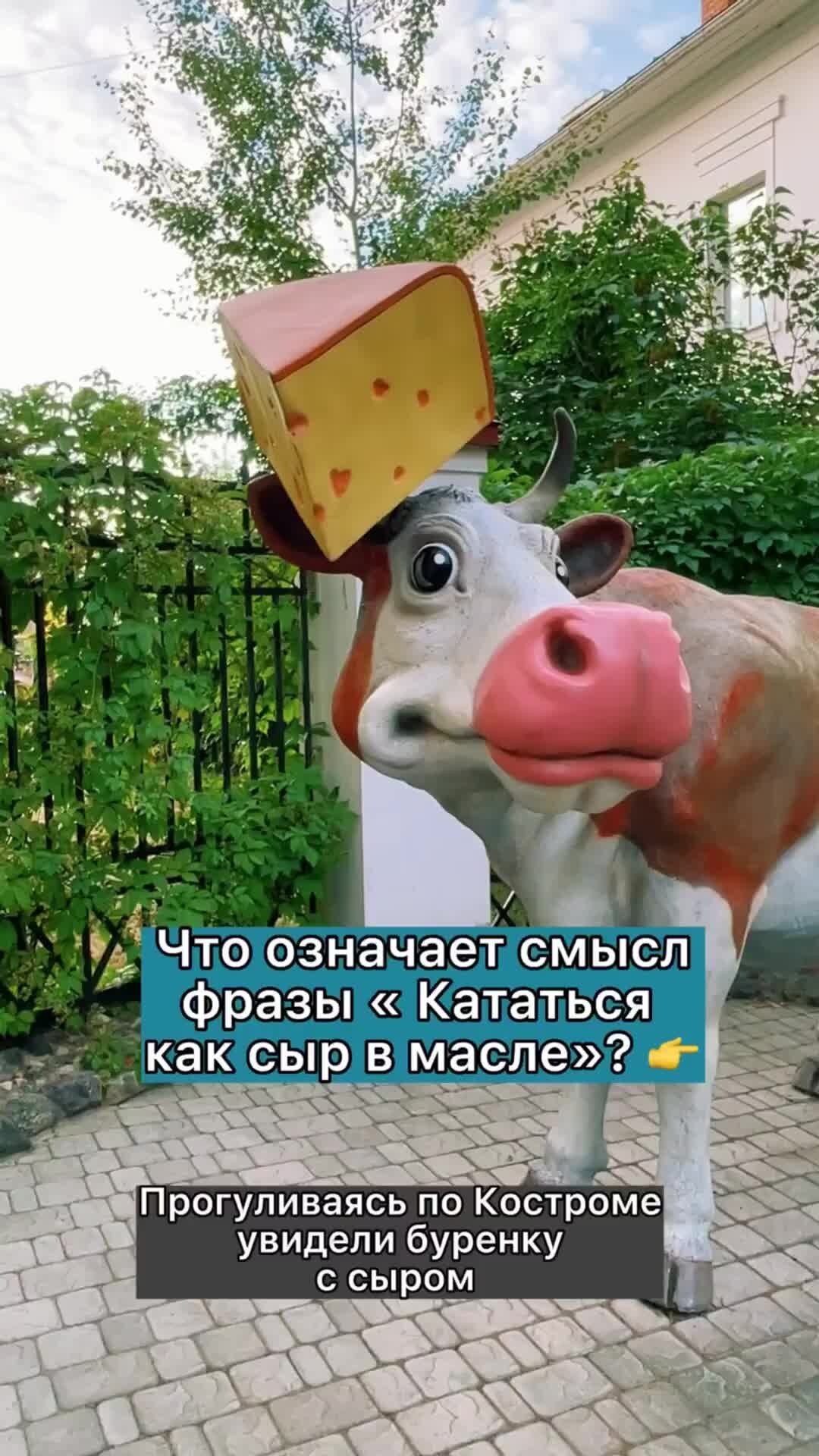 музей сыра в йошкар оле