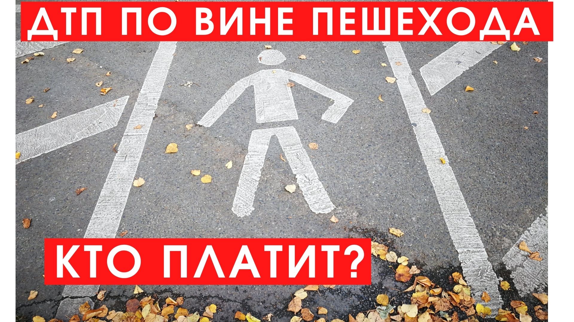 пешеходы на улице. фотосессия в переходе. машина на пешеходном переходе. фотосессия на пешеходном переходе. виноваты пешеходы.